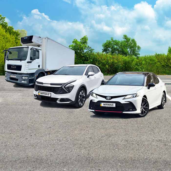 Car Rental: for Taxi and Personal Use, Trucks, Refrigerators